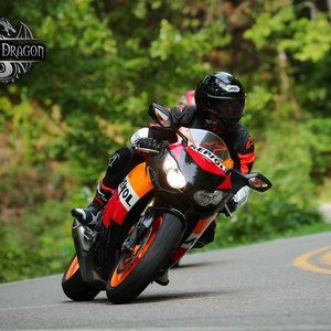 Meet your Posher, Shane